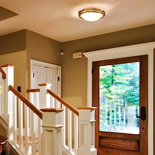 Modern Gold Flush Mount Ceiling Light