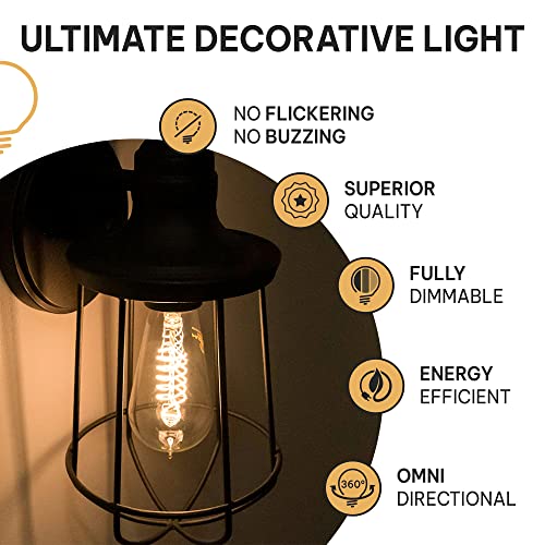 Vintage Incandescent Edison Light Bulbs (4 Count)