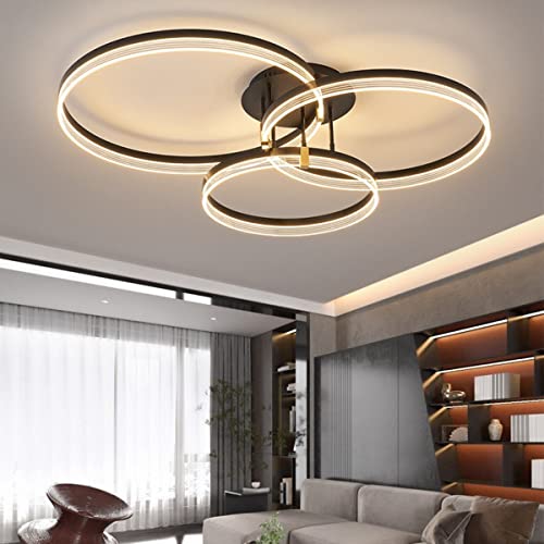 Chaners Ceiling Light Acrylic Ring Ceiling Light LED with Remote Control Dining Room Bedroom Lamp Living