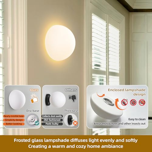 Modern Globe Glass Wall Sconces Set of 2 (2 Count)