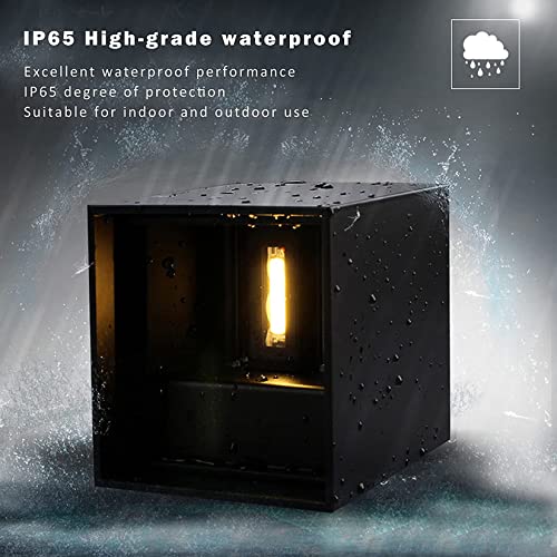 2 Pack LED Outdoor Wall Lights Exterior (2 Count)