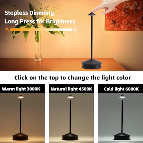 2 Pack Aluminum Cordless Table Lamp (2 Count)