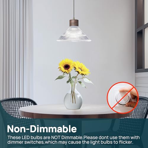 A19 LED Light Bulbs (6 Count)