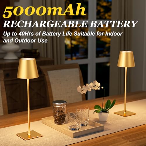 Gold Cordless Rechargeable Table Lamp 5000mAh Battery Operated Lamps (2 Count)