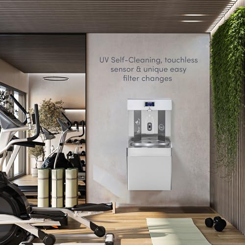 Wall Mounted Water Fountain with Bottle Filling Station