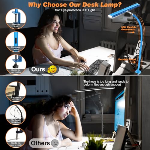 LED Desk Lamp with Clamp