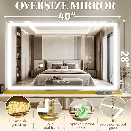Large Vanity Mirror with Lights