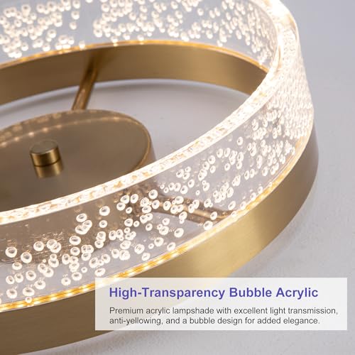 Modern LED Ceiling Light Fixture