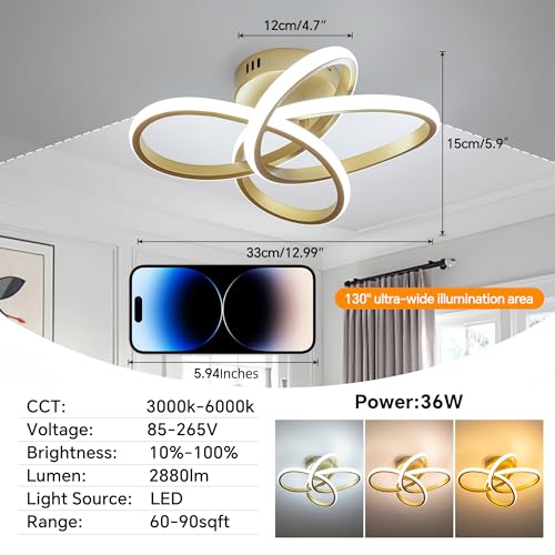 Modern Ceiling Light