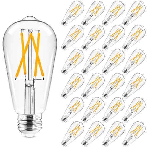 Edison Bulbs Dimmable (24 Count)