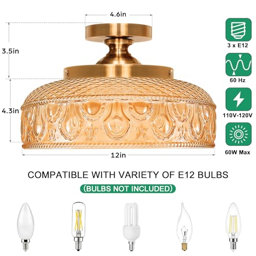 Semi Flush Mount Ceiling Light