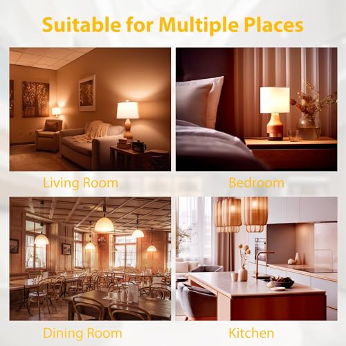 24 Pack LED Light Bulbs Soft White 2700K (24 Count)