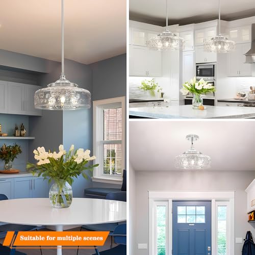 Brushed Nickel Pendant Light with Clear Glass Lampshade