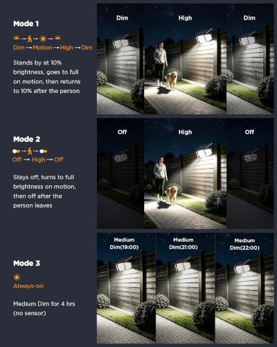 Solar Outdoor Lights (2 Count)