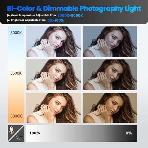 D80 Photography Lighting