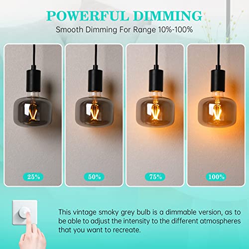 Large Edison Bulbs E26 LED (2 Count)