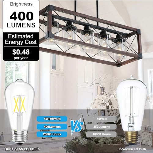 6 Pack Vintage LED Edison Bulbs (6 Count)