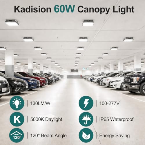 60W LED Canopy Light