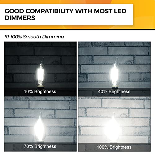 Candelabra Light Bulbs 5000K (12 Count)