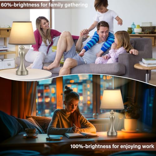 Touch Lamps for Nightstand (2 Count)