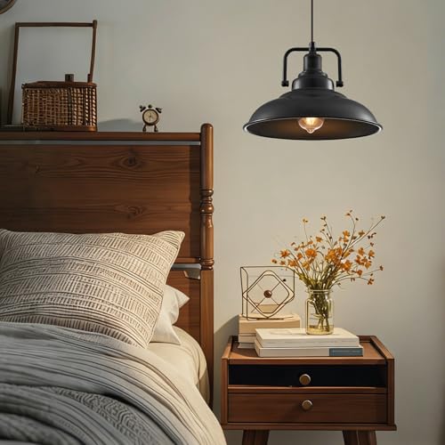 Black Pendant Light 12.5 inches 2 Packs