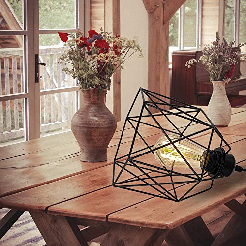 Industrial Plug in Pendant Light