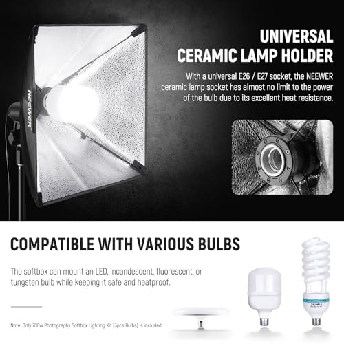 700W Equivalent Softbox Lighting Kit