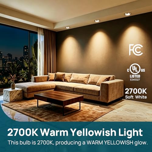 12 Pack BR30 LED Flood Light Bulbs Indoor (12 Count)