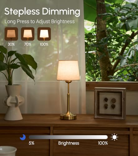 2 Pack Rechargeable Cordless Table Lamp (2 Count)