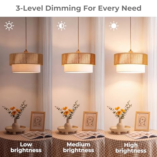 Boho Plug in Pendant Light