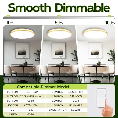 32 Inch Oval LED Ceiling Light