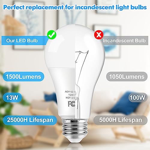 LED Light Bulbs (4 Count)