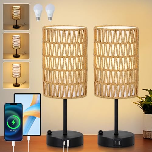 Touch Table Lamp Set of 2 For Bedroom with Bulb (2 Count)