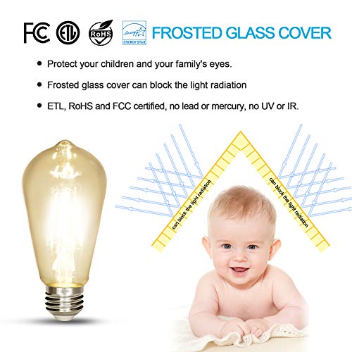 LED Edison Bulb (3 Count)