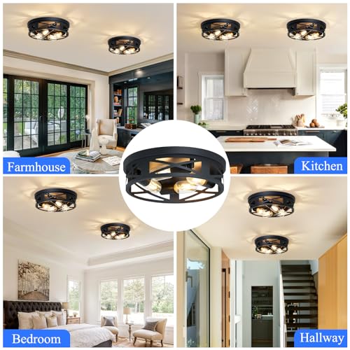 Flush Mount Ceiling Light Fixture (2 Count)