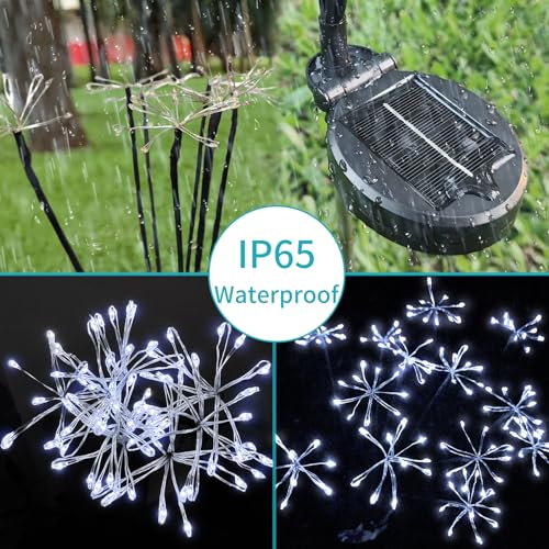Solar Garden Lights (2 Count)
