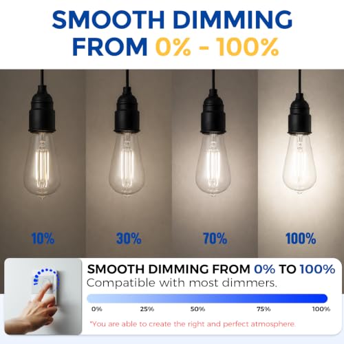 6 Pack Vintage Edison Bulbs (6 Count)