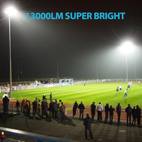 130W Flood Lights Outdoor (4 Count)