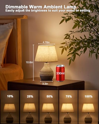 10" H Small Rechargeable Cordless Ceramic Table Lamp