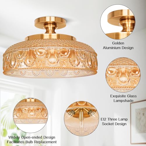 Semi Flush Mount Ceiling Light