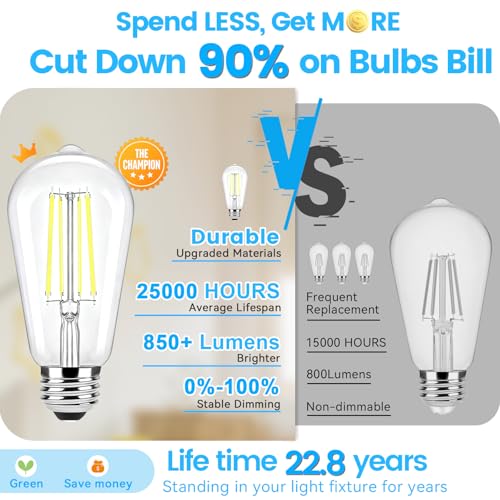 Vintage LED Edison Bulbs 60 Watt Equivalent (6 Count)