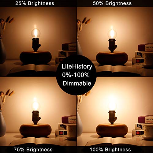 G16.5 Edison Bulbs (6 Count)