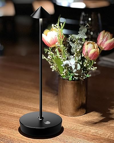 LED Cordless Table Lamp Rechargeable 6000mAh Battery Outdoor Desk Lamp