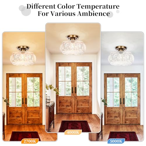 11 Inch Globe Glass Semi Flush Mount Ceiling Light Fixture
