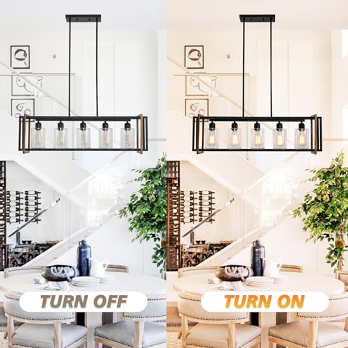 Dining Room Light Fixture