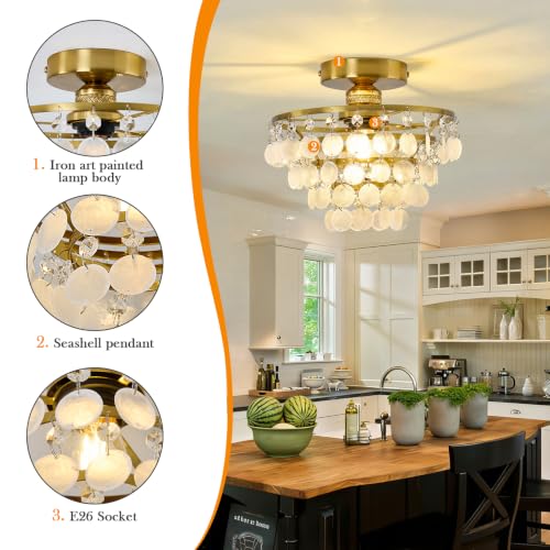 Capiz Shell Ceiling Light