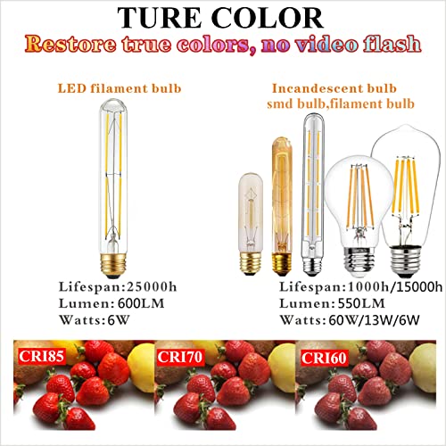 Dimmable T10 E26 Bulb (6 Count)
