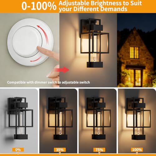 2 Pack Dusk to Dawn Outdoor Exterior Lighting Fixtures Wall Mount (2 Count)