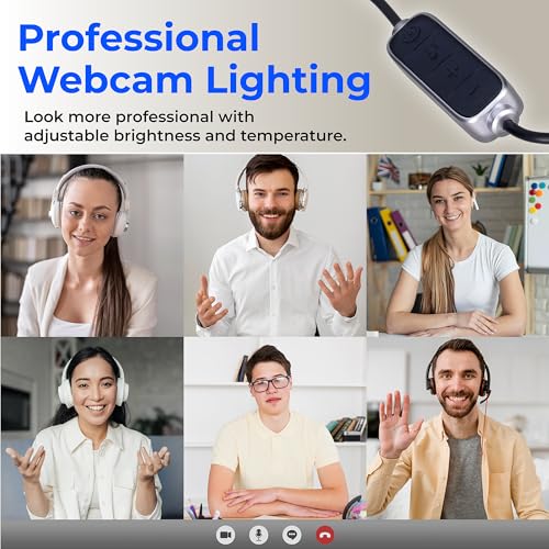 Video Conference Lighting (2 Count)