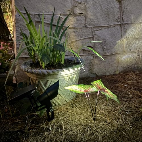 Tri Color Progressive Solar LED Spotlight with 100 Lumens